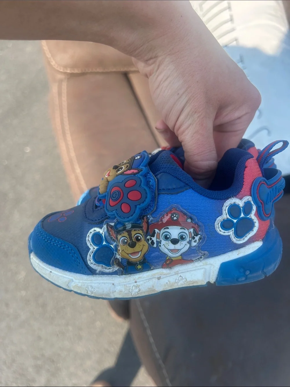 Paw Patrol bright blue